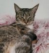 6911 Cay photo 1