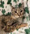6911 Cay photo 2