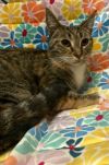 6911 Cay photo 3