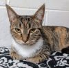 6911 Cay photo 4