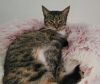 6911 Cay photo 5