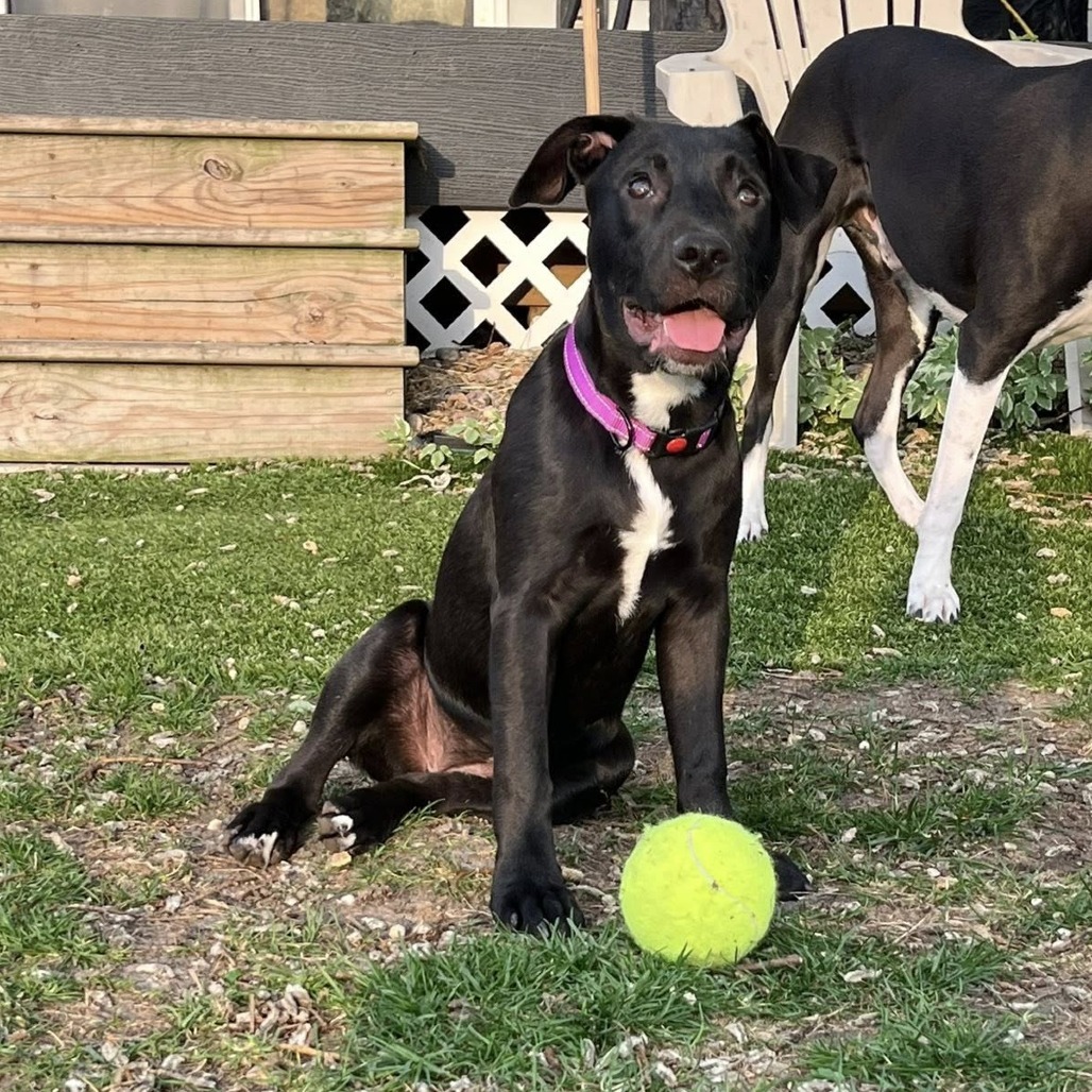 Sadie Photo