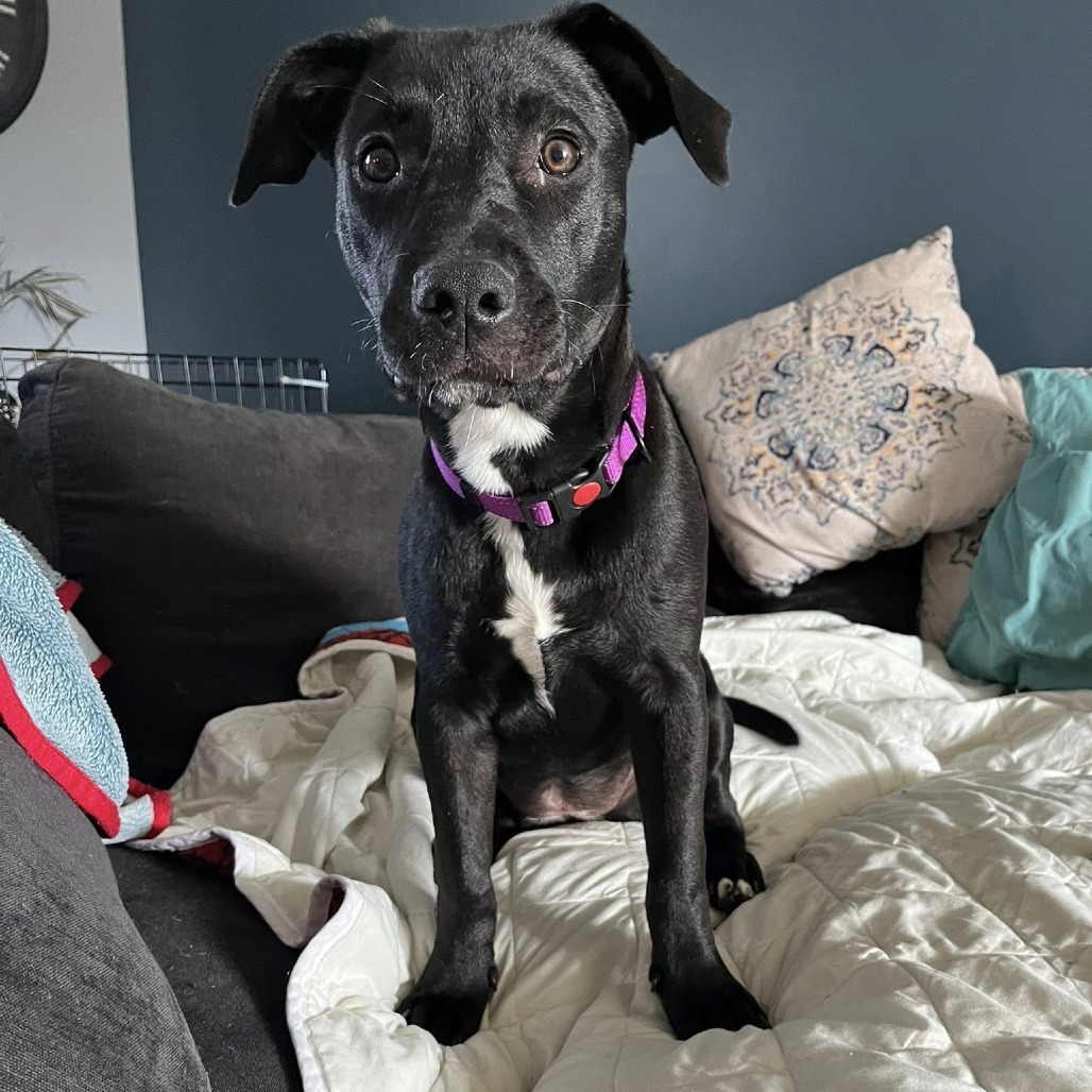 Sadie Photo