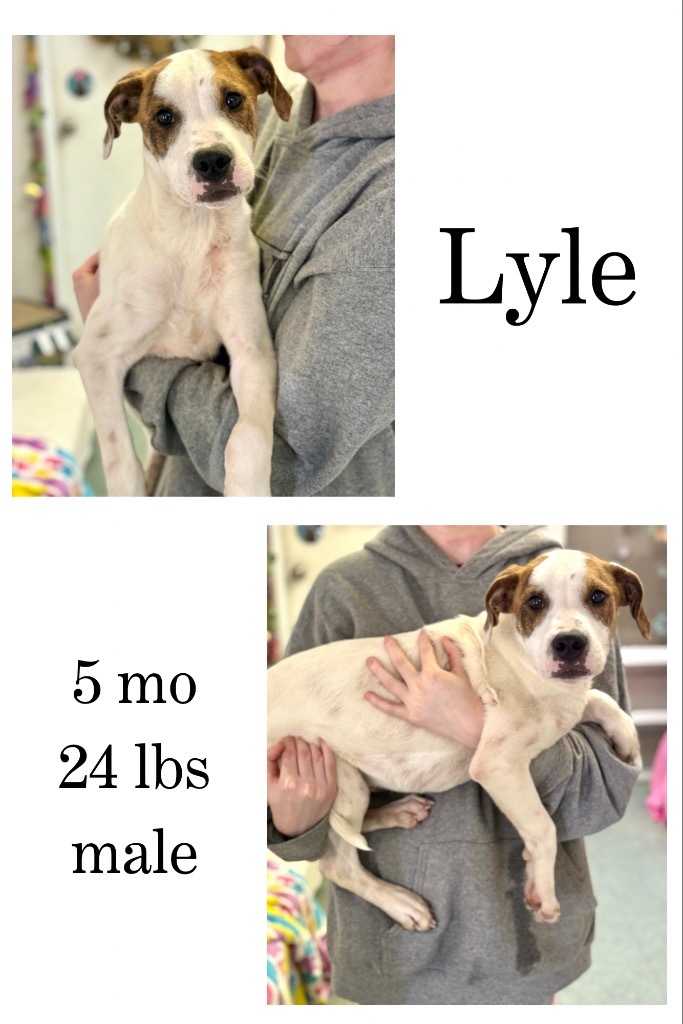 Lyle