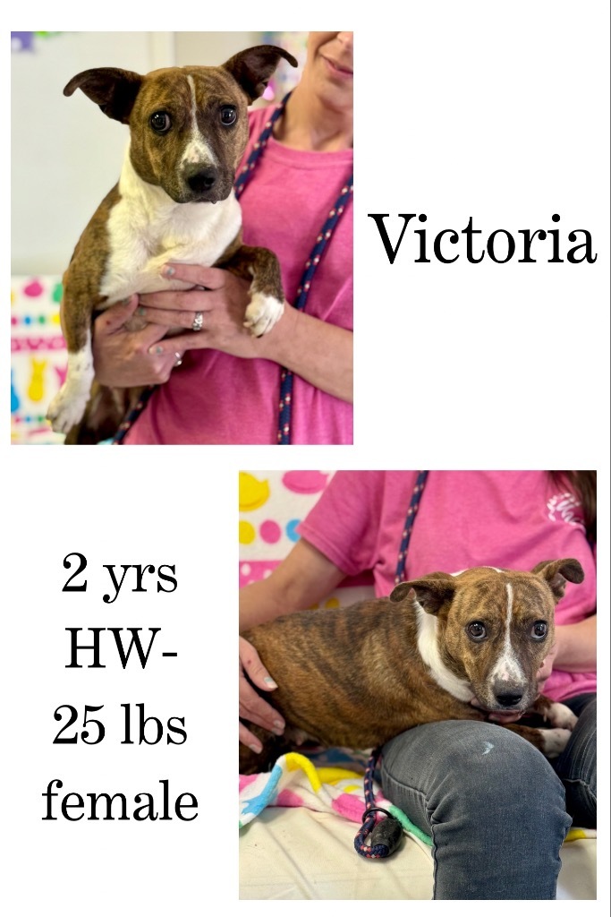 Victoria