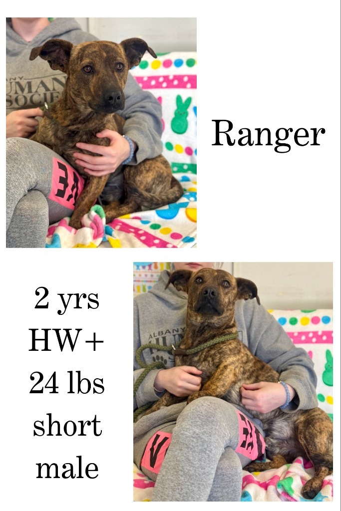 Ranger