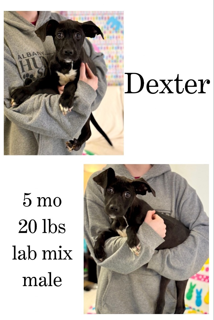 Dexter