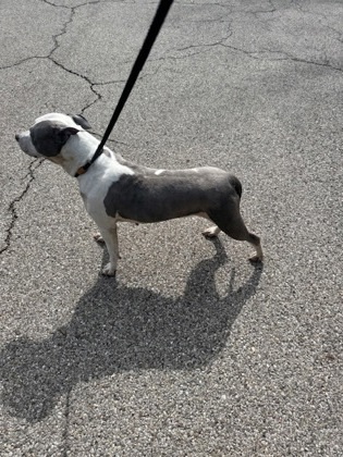 Parker 2