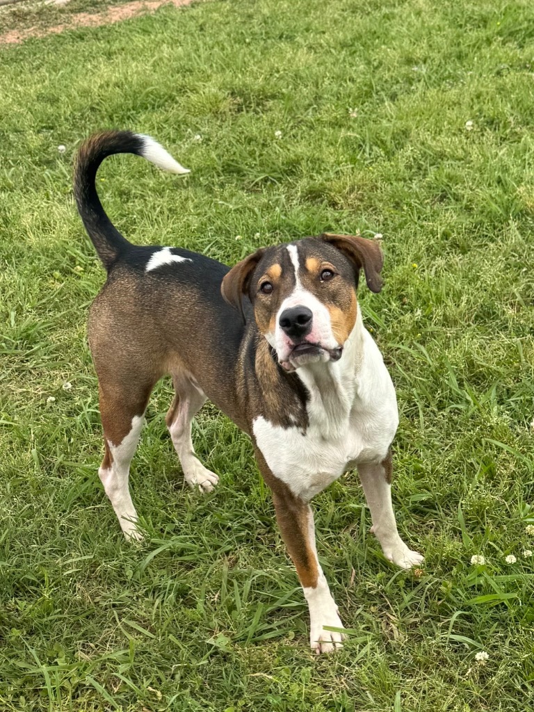 Milo