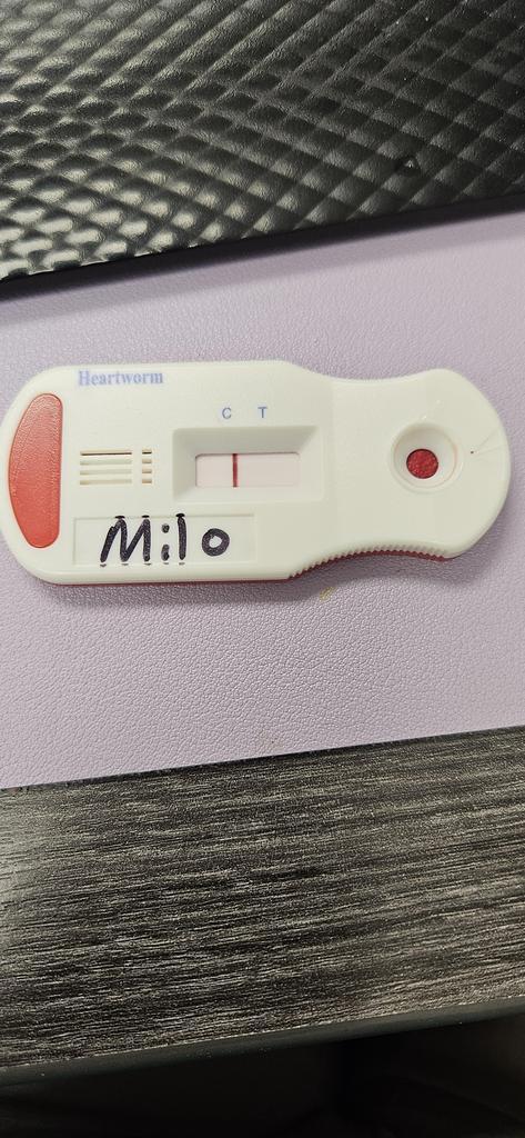 Milo