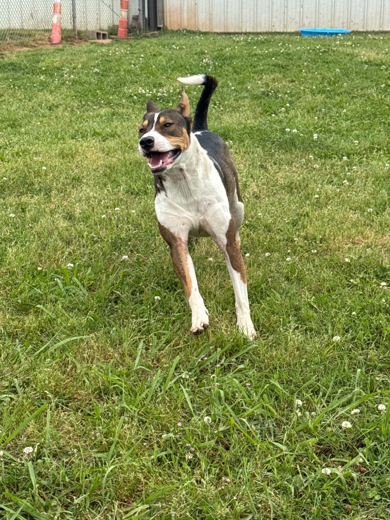 Milo