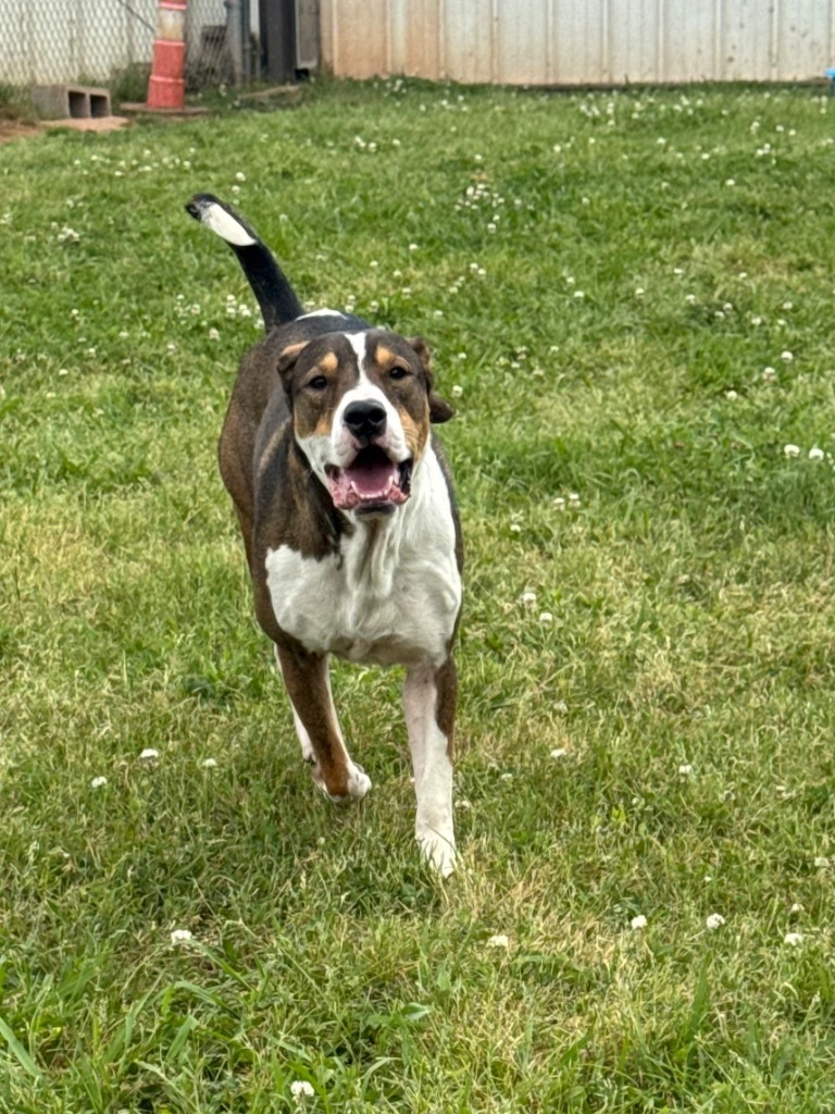Milo