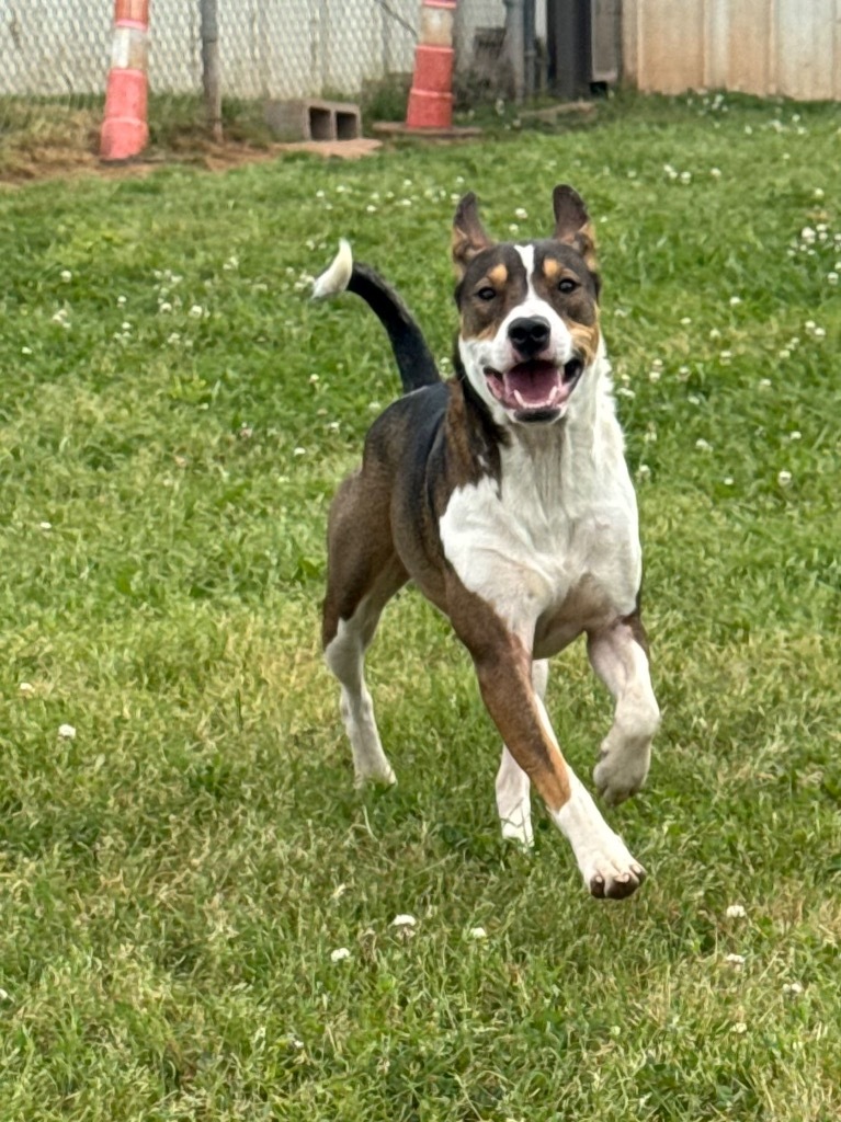Milo