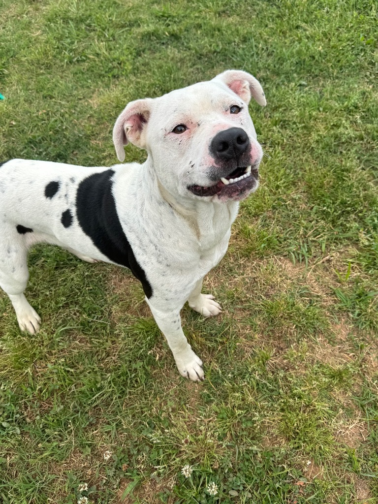Max