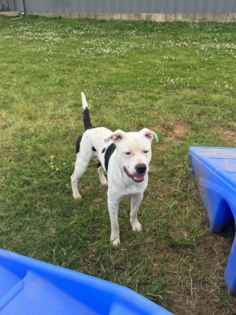 Max