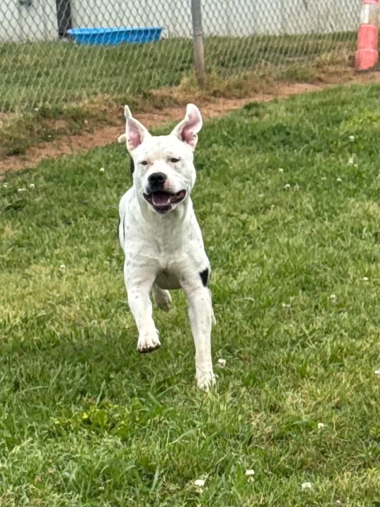 Max