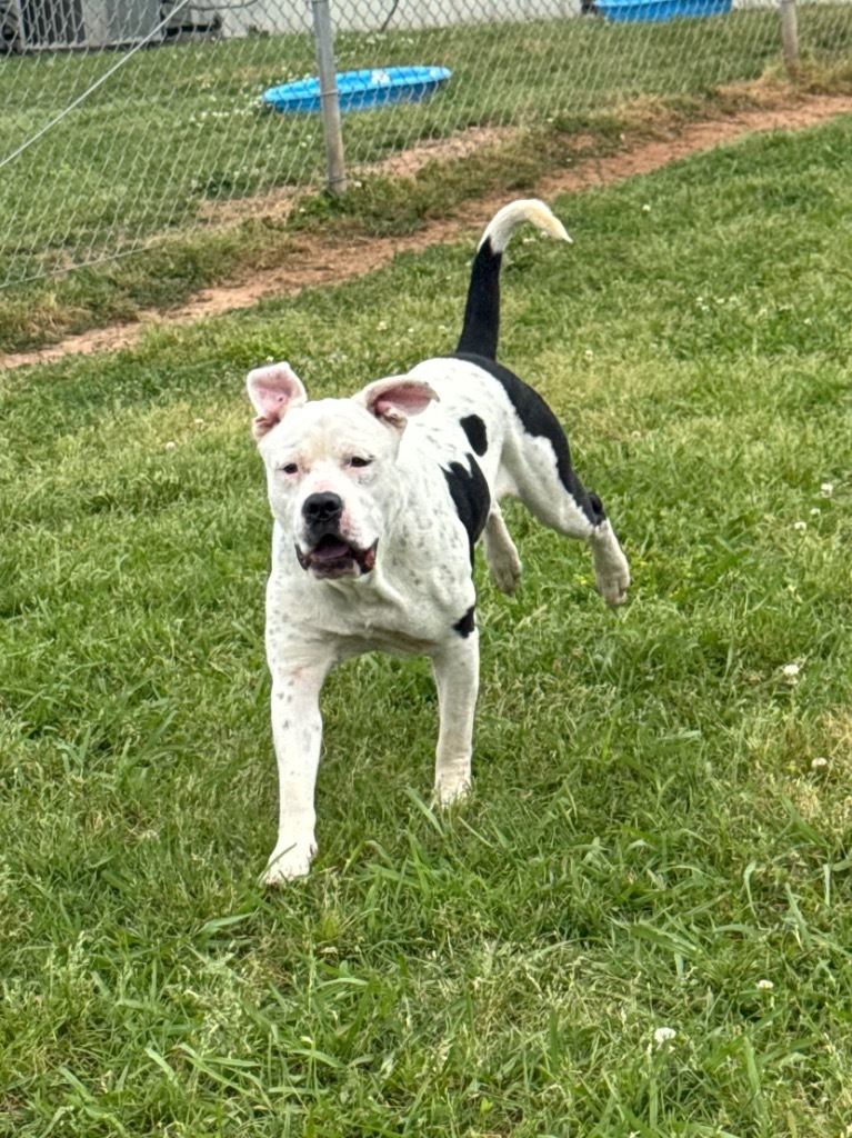 Max