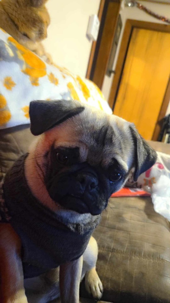 Penelope