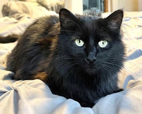 Luna