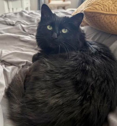 Luna