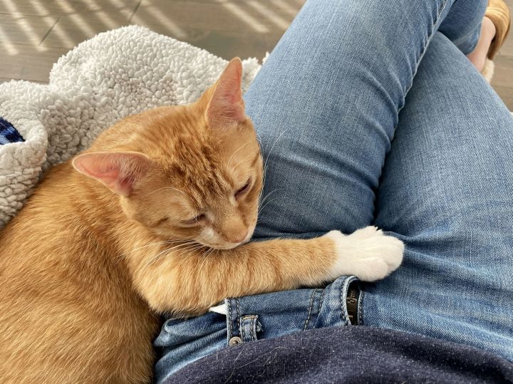 Mitts (Courtesy Post) 2