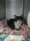 Itty Bitty photo 2