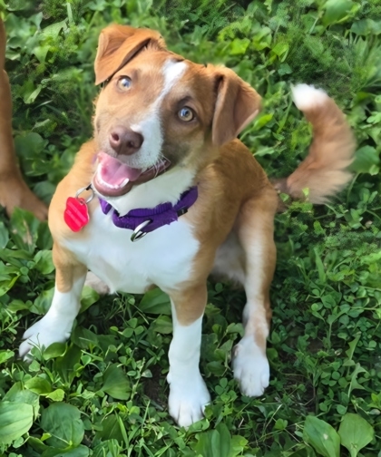 Freya