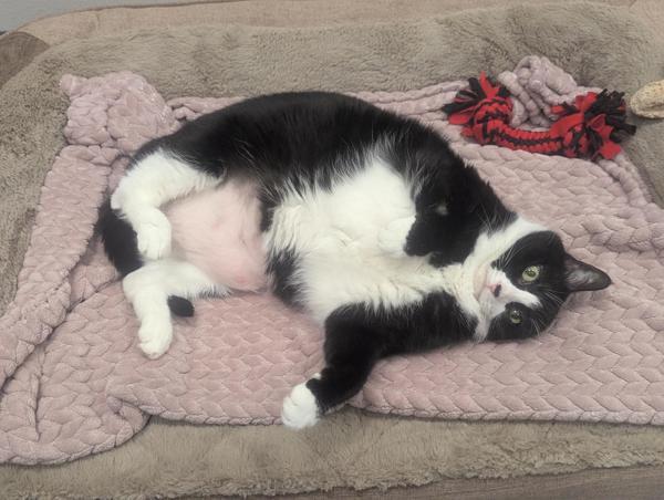 Millie
