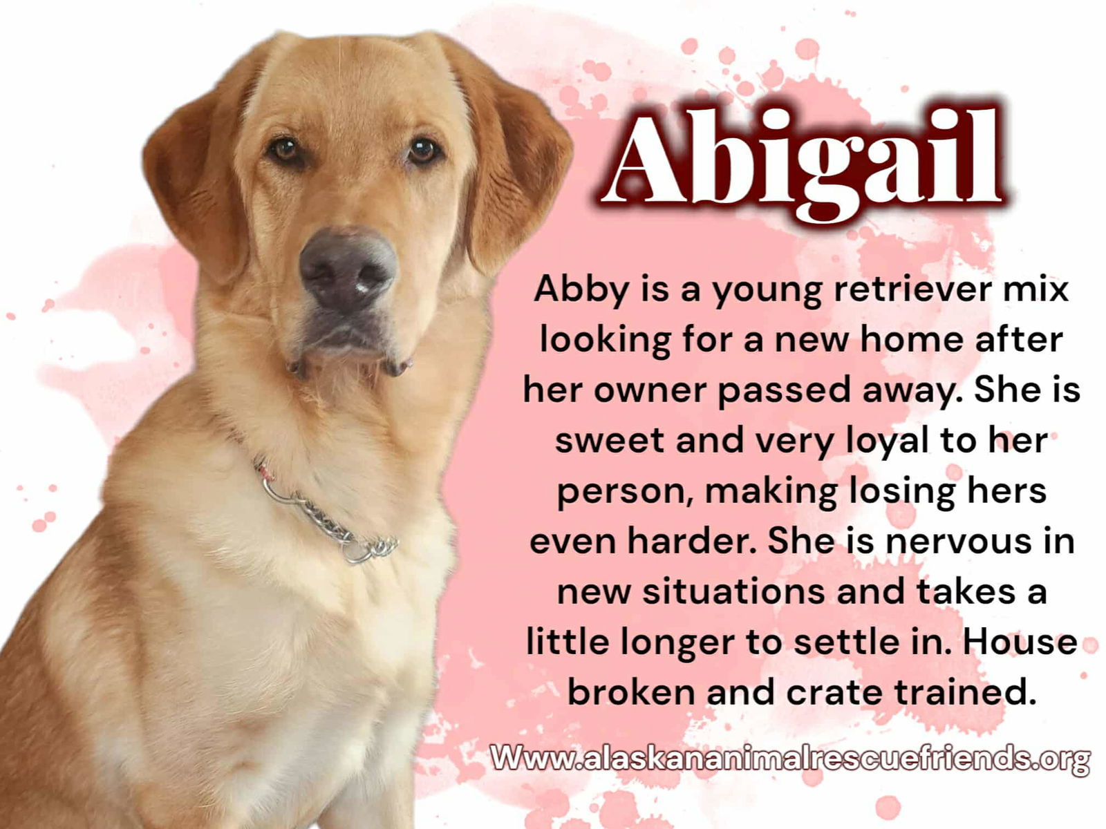 Abby