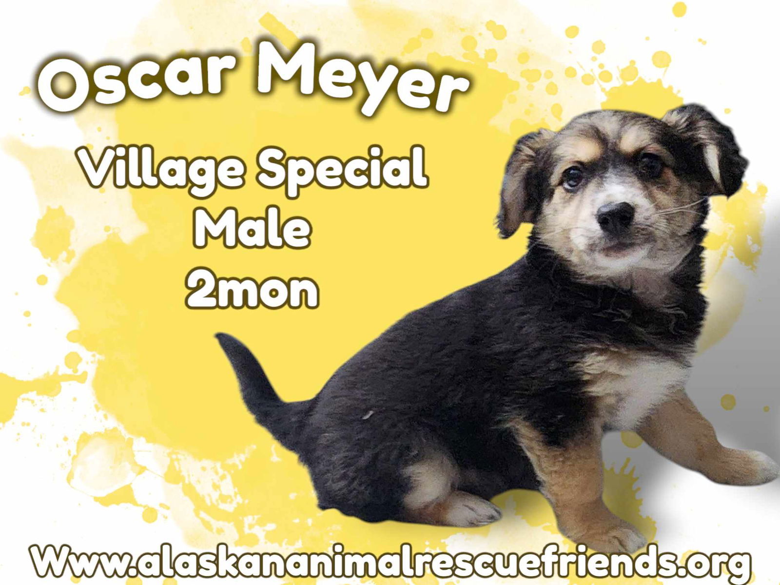 Oscar Meyer