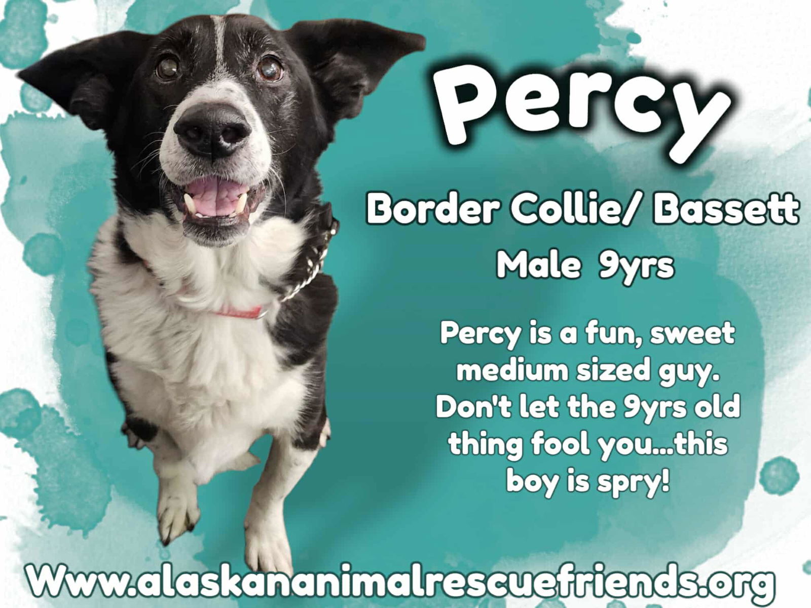 Percy