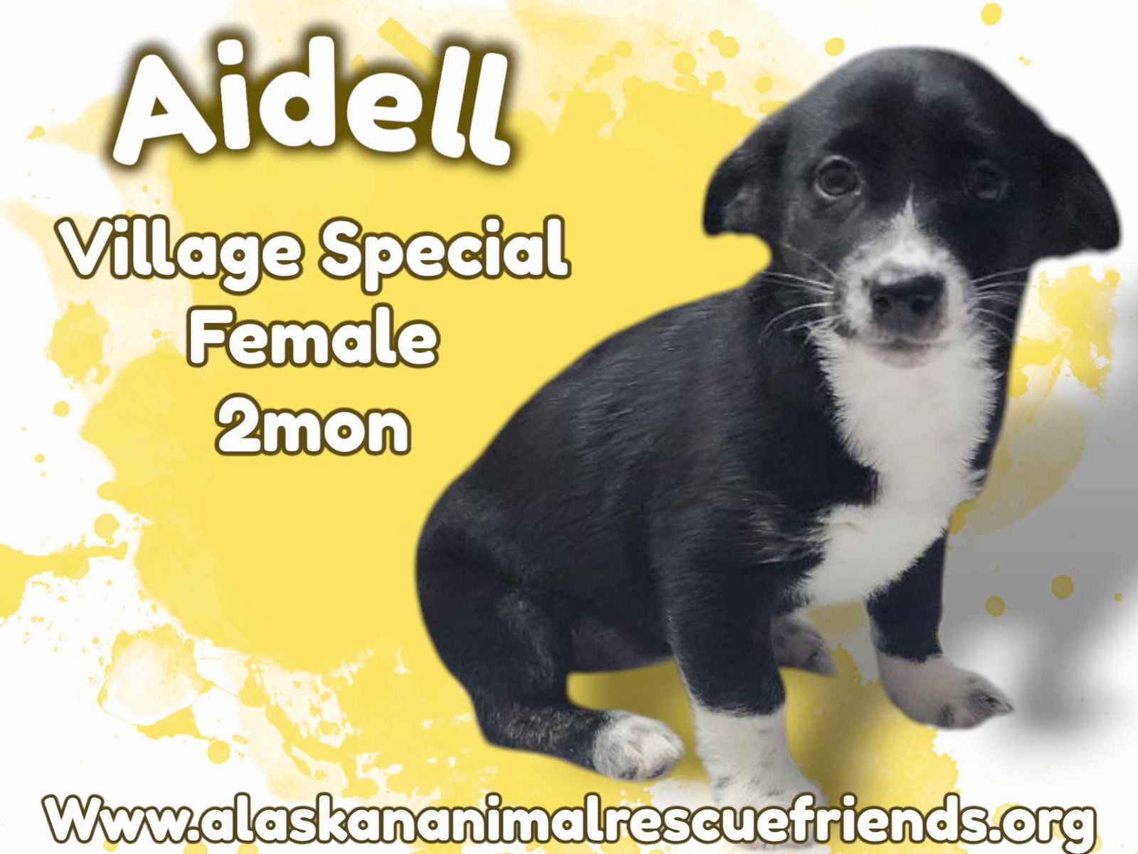 Aidell