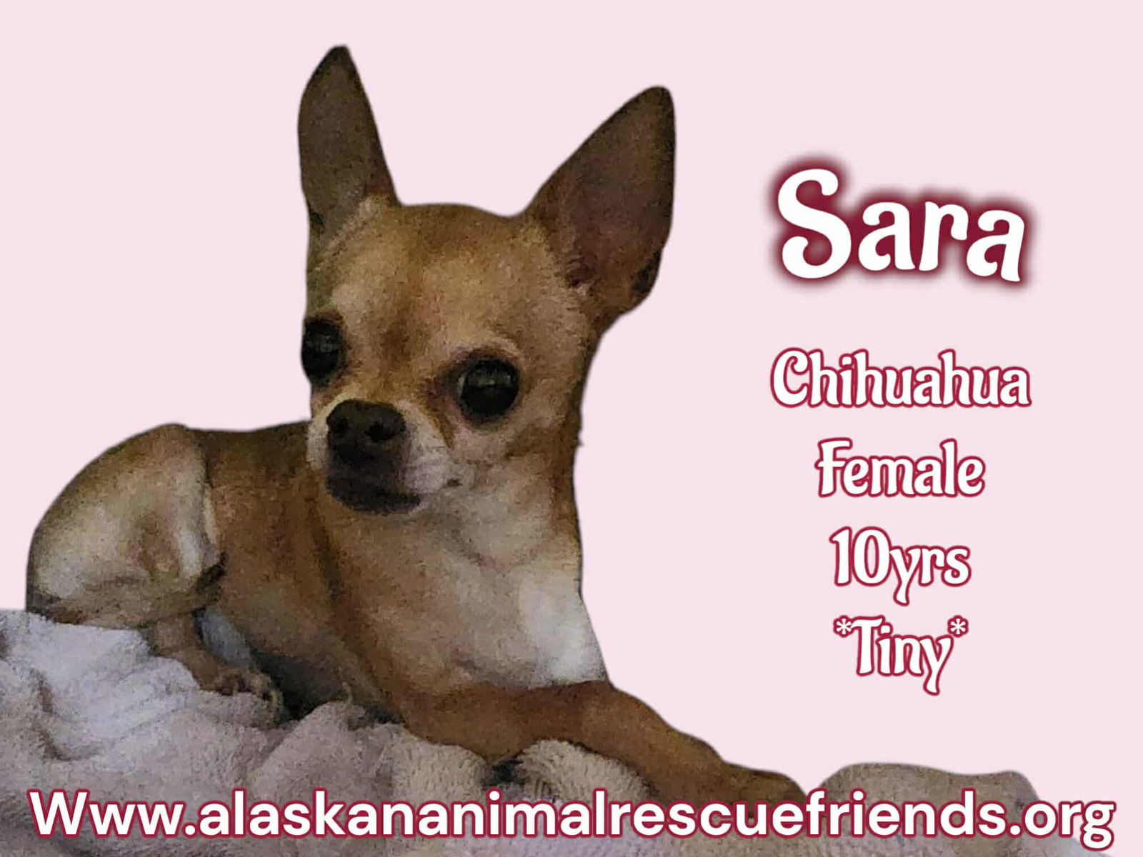 Sara