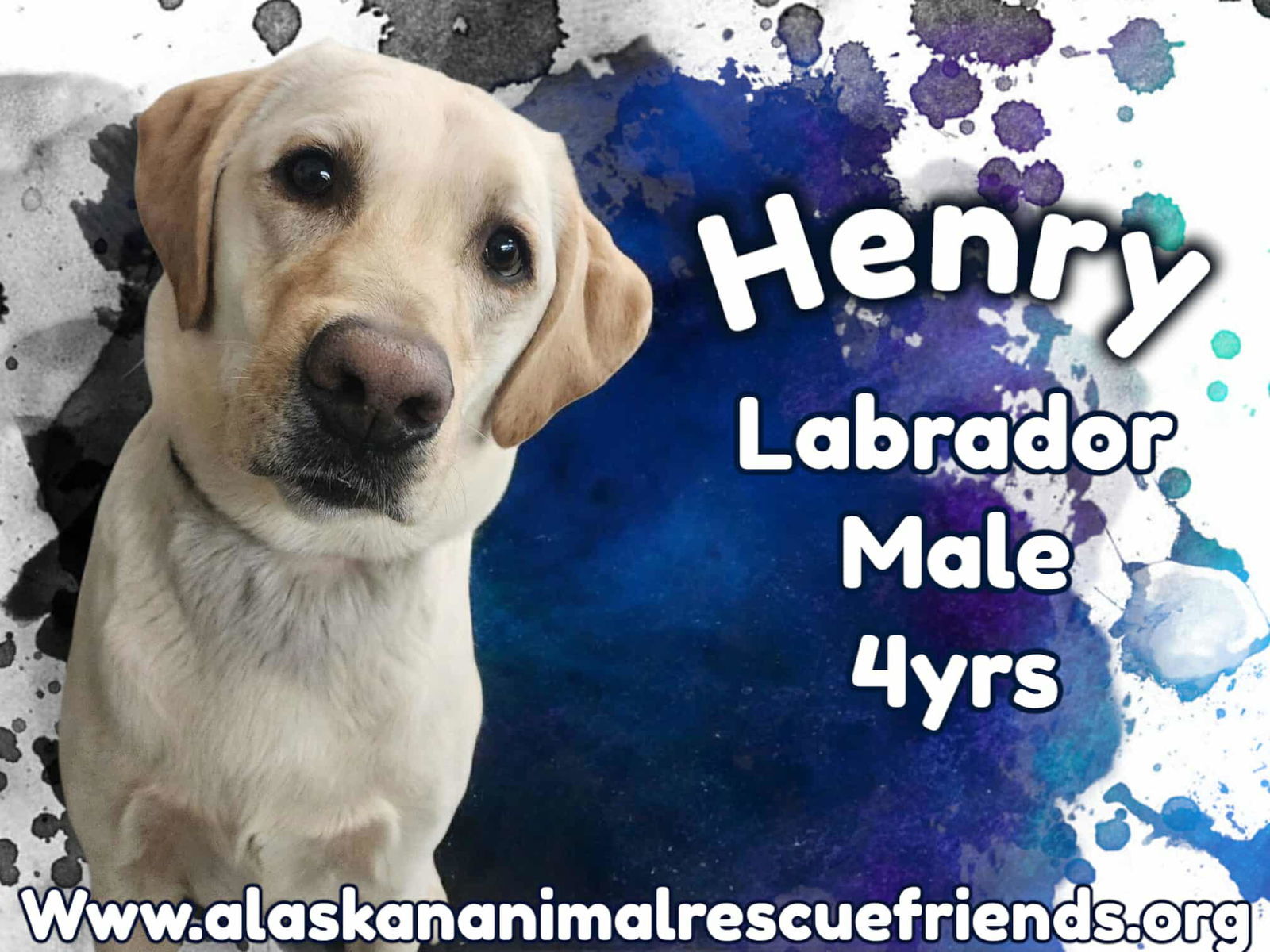Henry