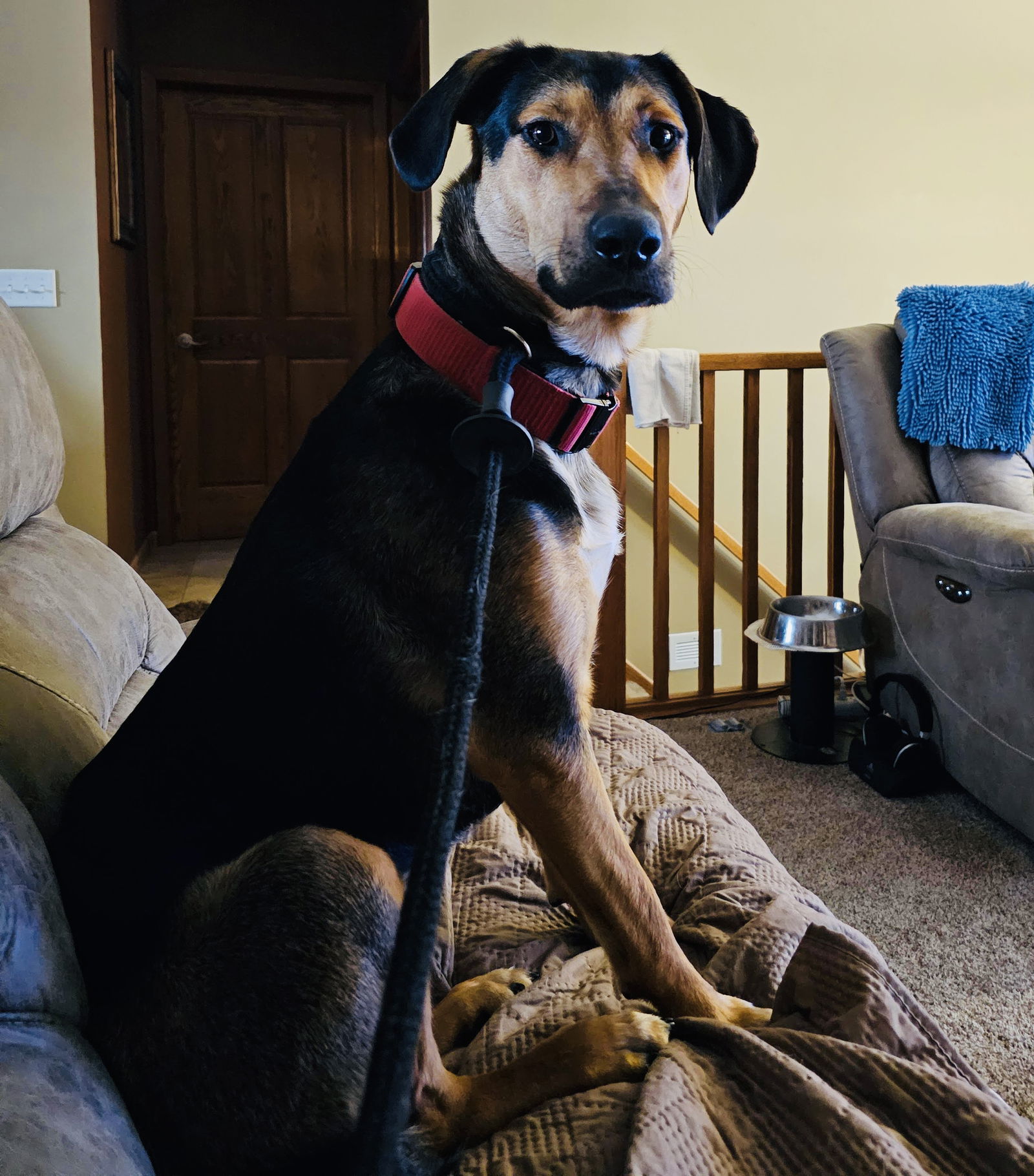 Ruby