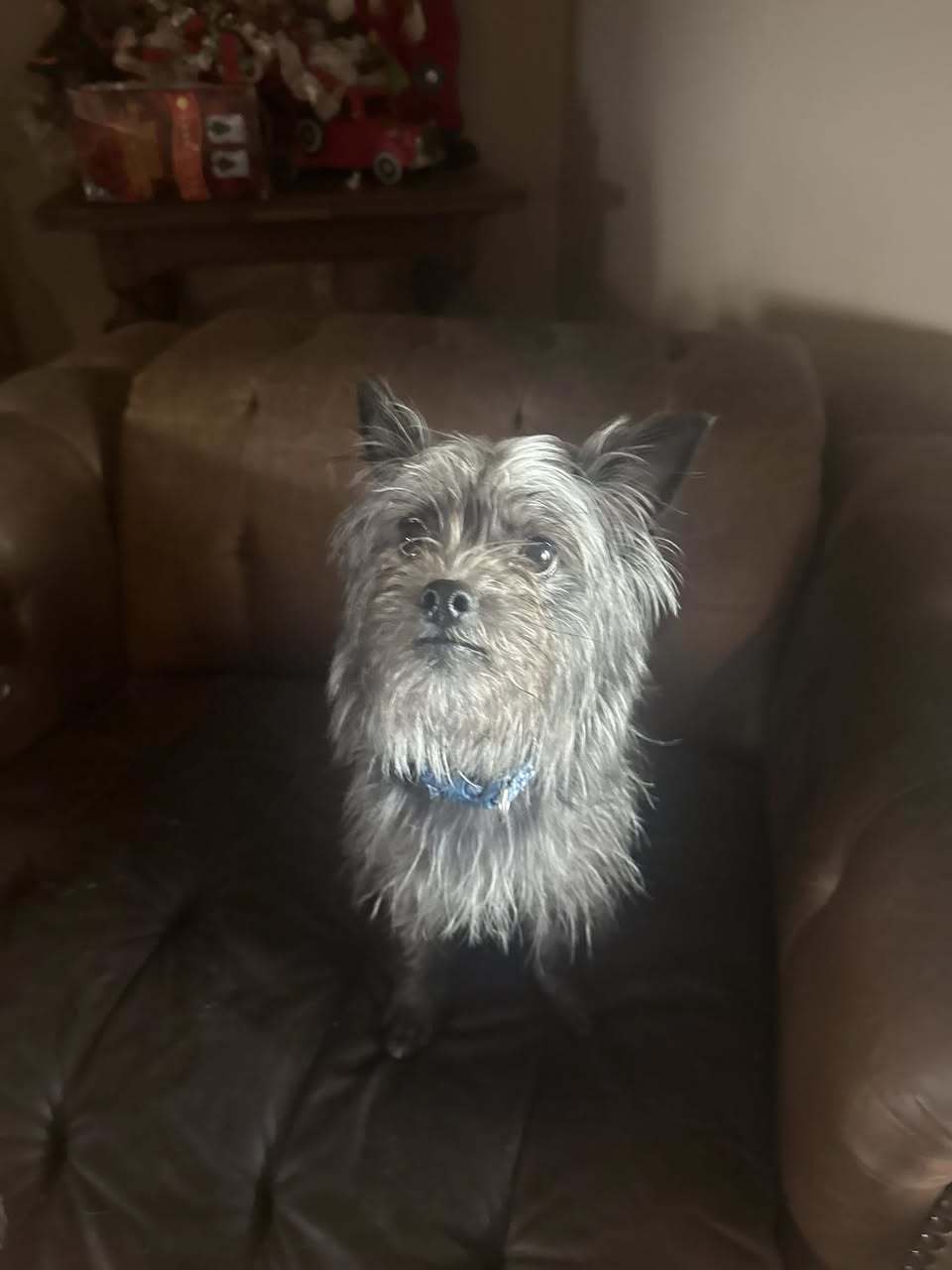 Macy
