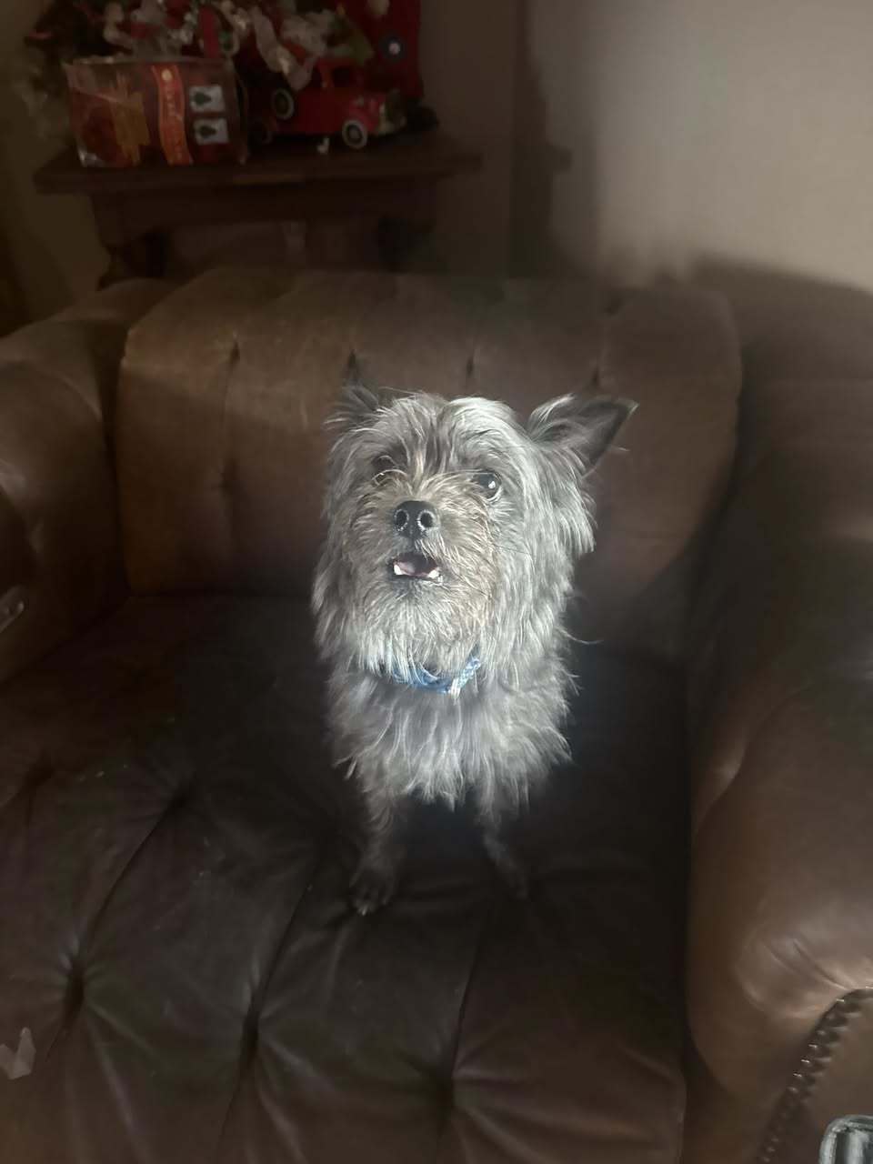 Macy