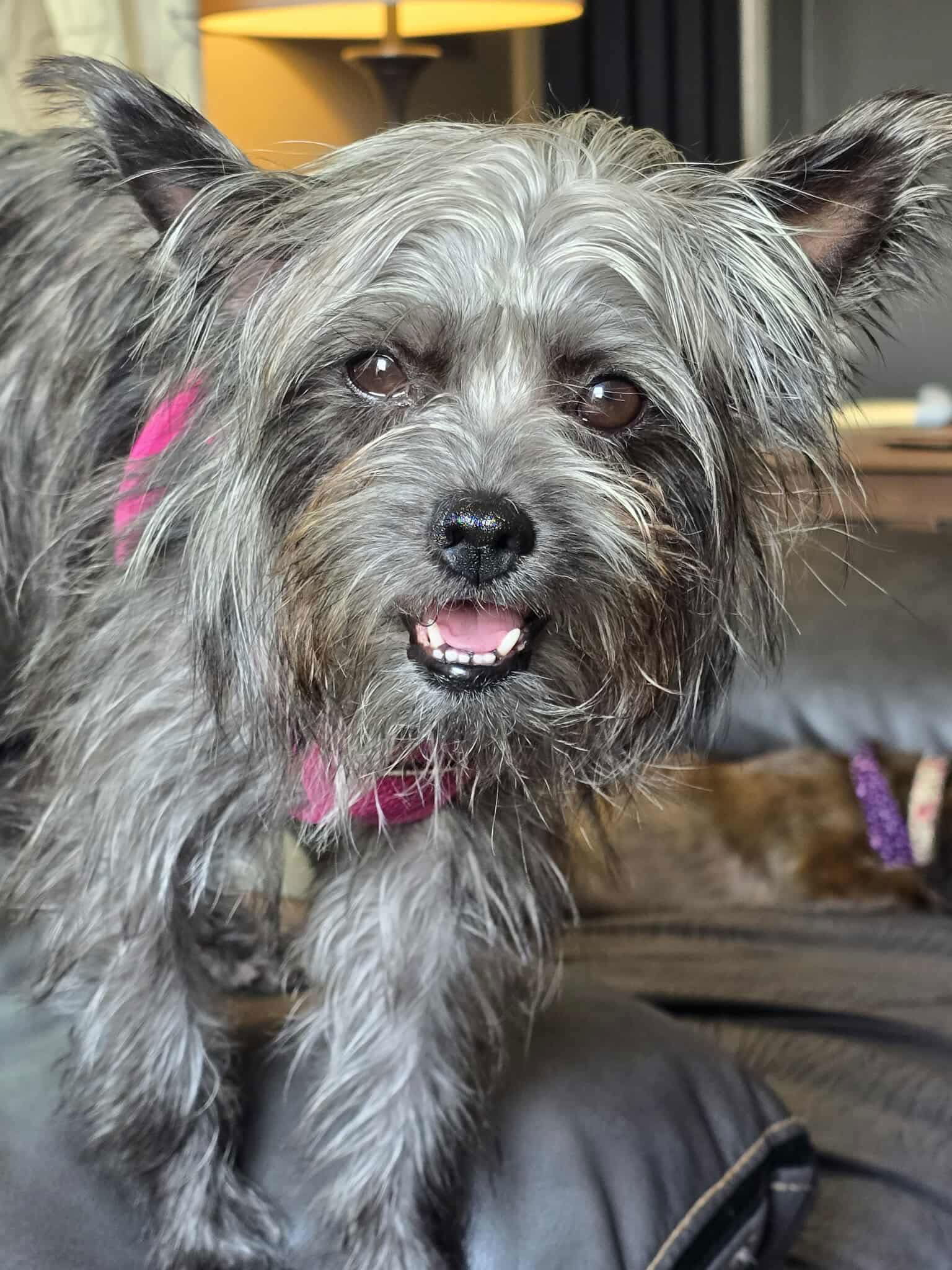 Macy