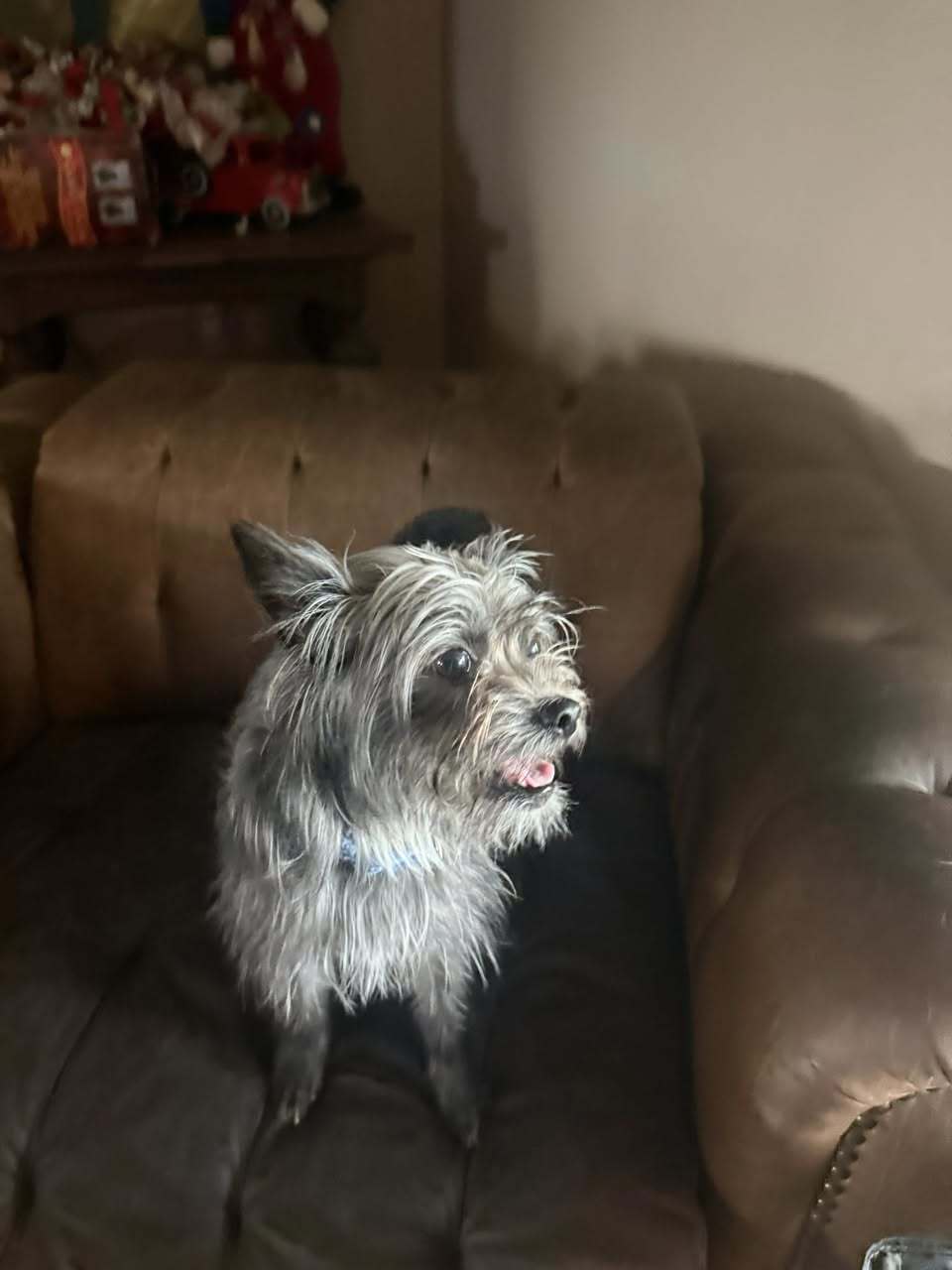 Macy
