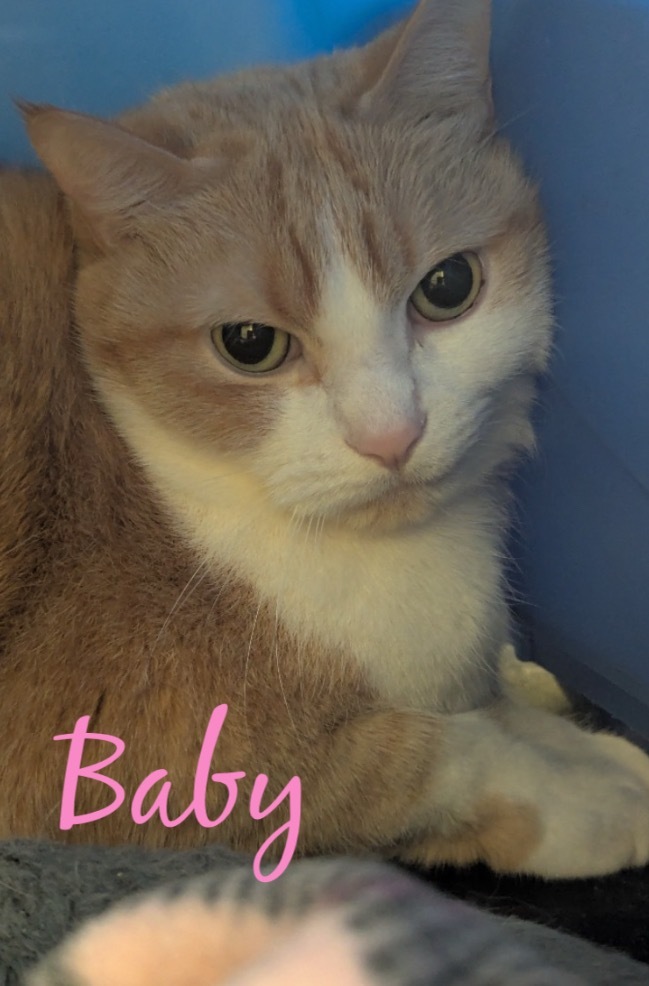 BABY 1