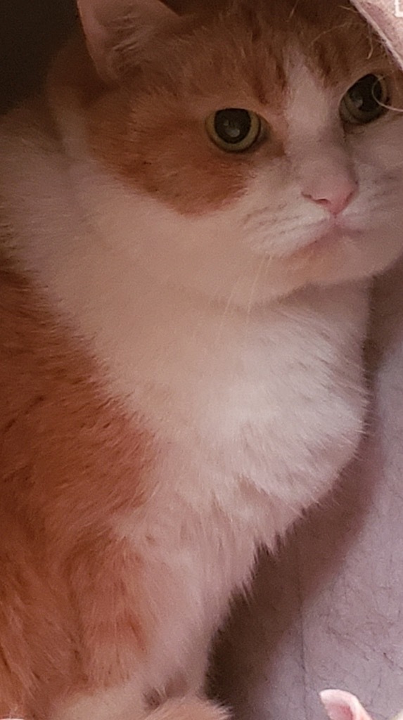 BABY