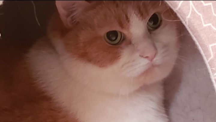 BABY 4