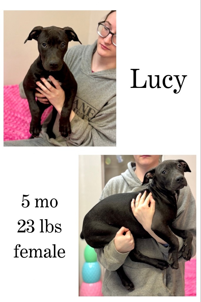 Lucy
