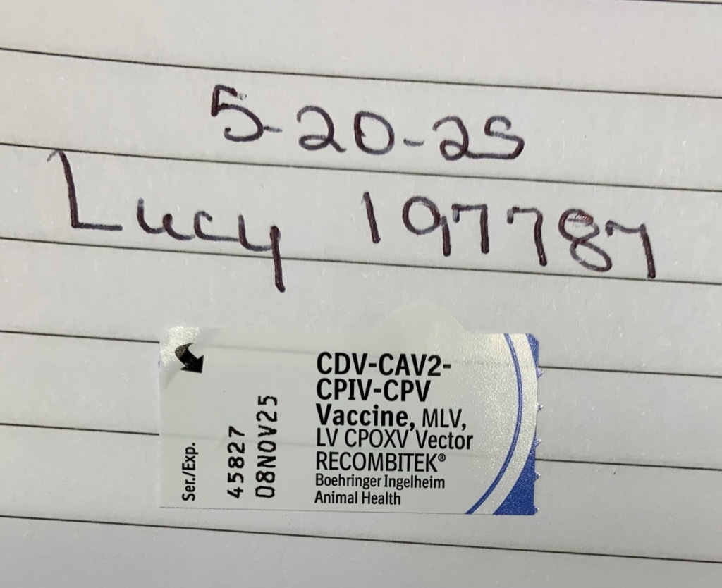 Lucy