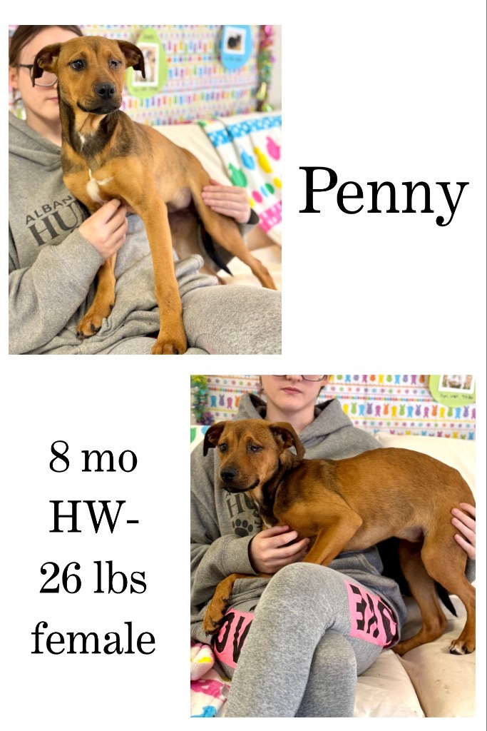 Penny