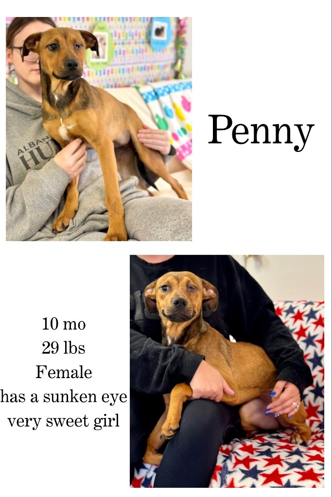 Penny