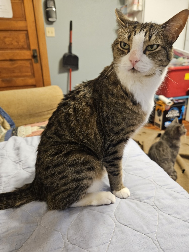 Kimi