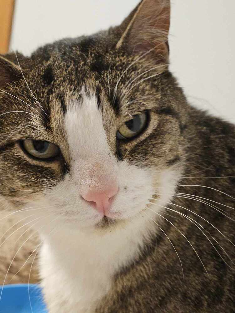 Kimi