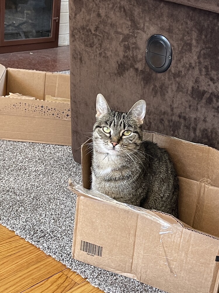 Rosie