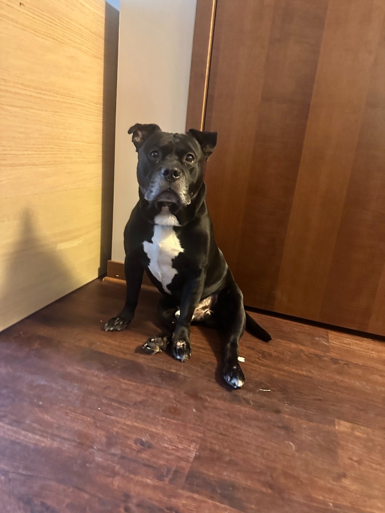 Fenris James Bond
